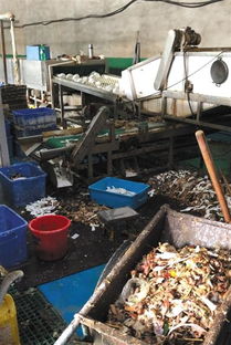 餐具消毒企業被查引關注，餐飲行業衛生管理再敲警鐘